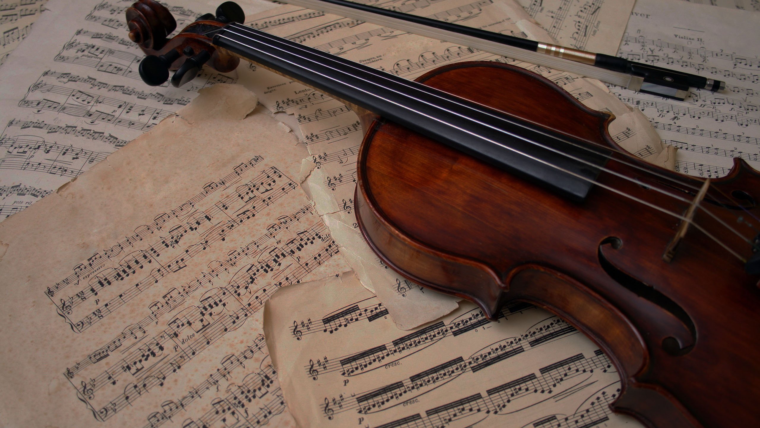 Музыка без музыкальных инструментов. Старинная скрипка. Антикварная скрипка. Скрипка Эстетика.
